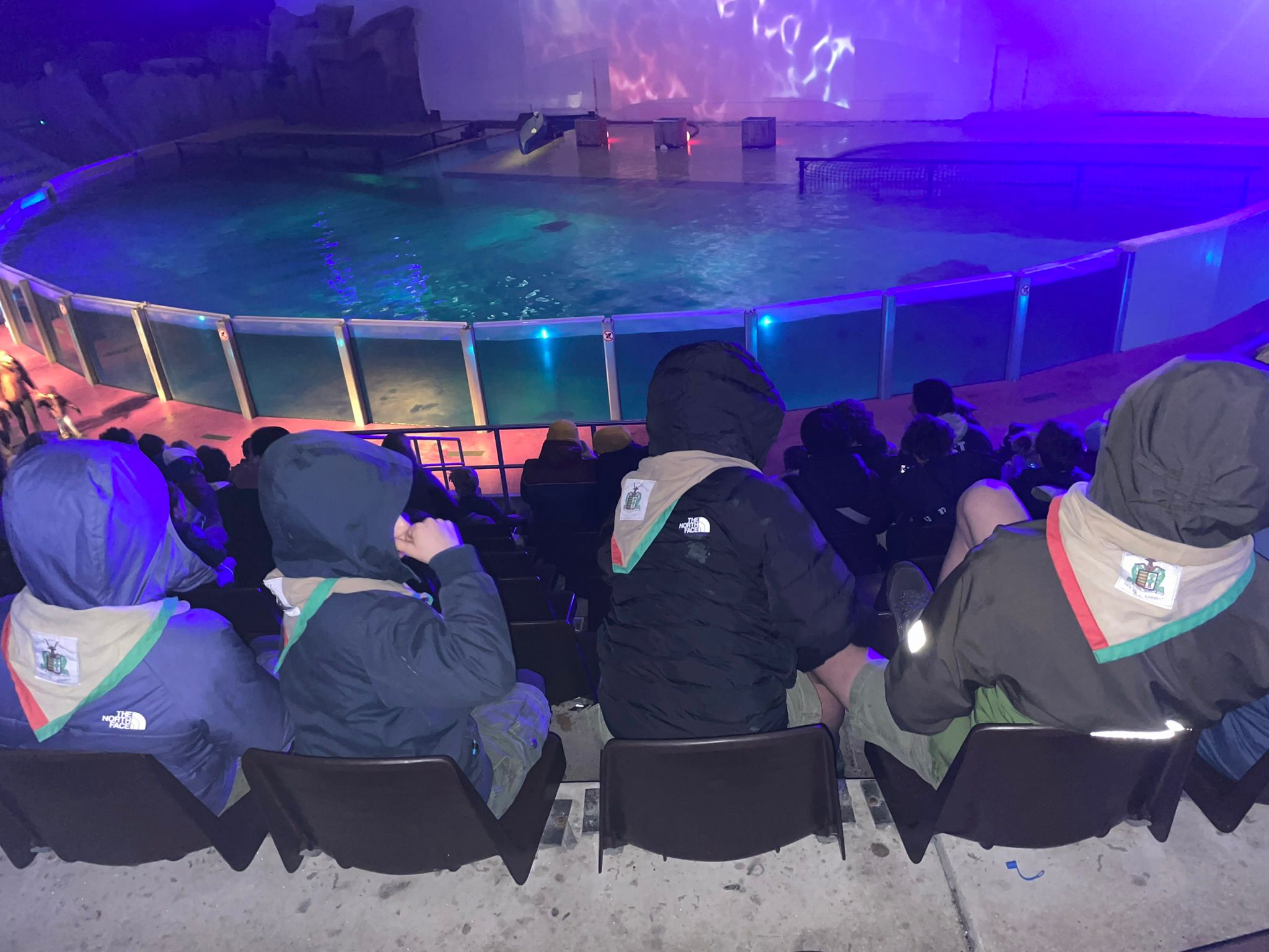 Sint-Martinus den XIIde - Winterkamp JVK 2024